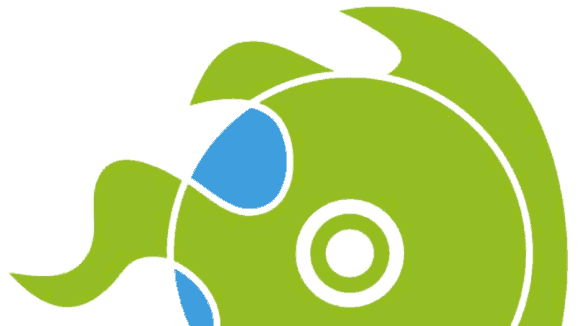 Future Music Camp Logo