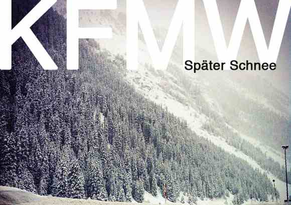 Coverausschnitt aus "Später Schnee"