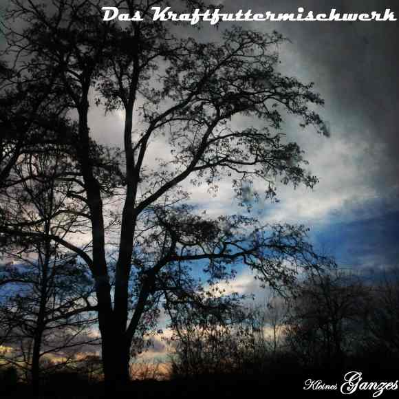 Album-Cover von "Kleines Ganzes"